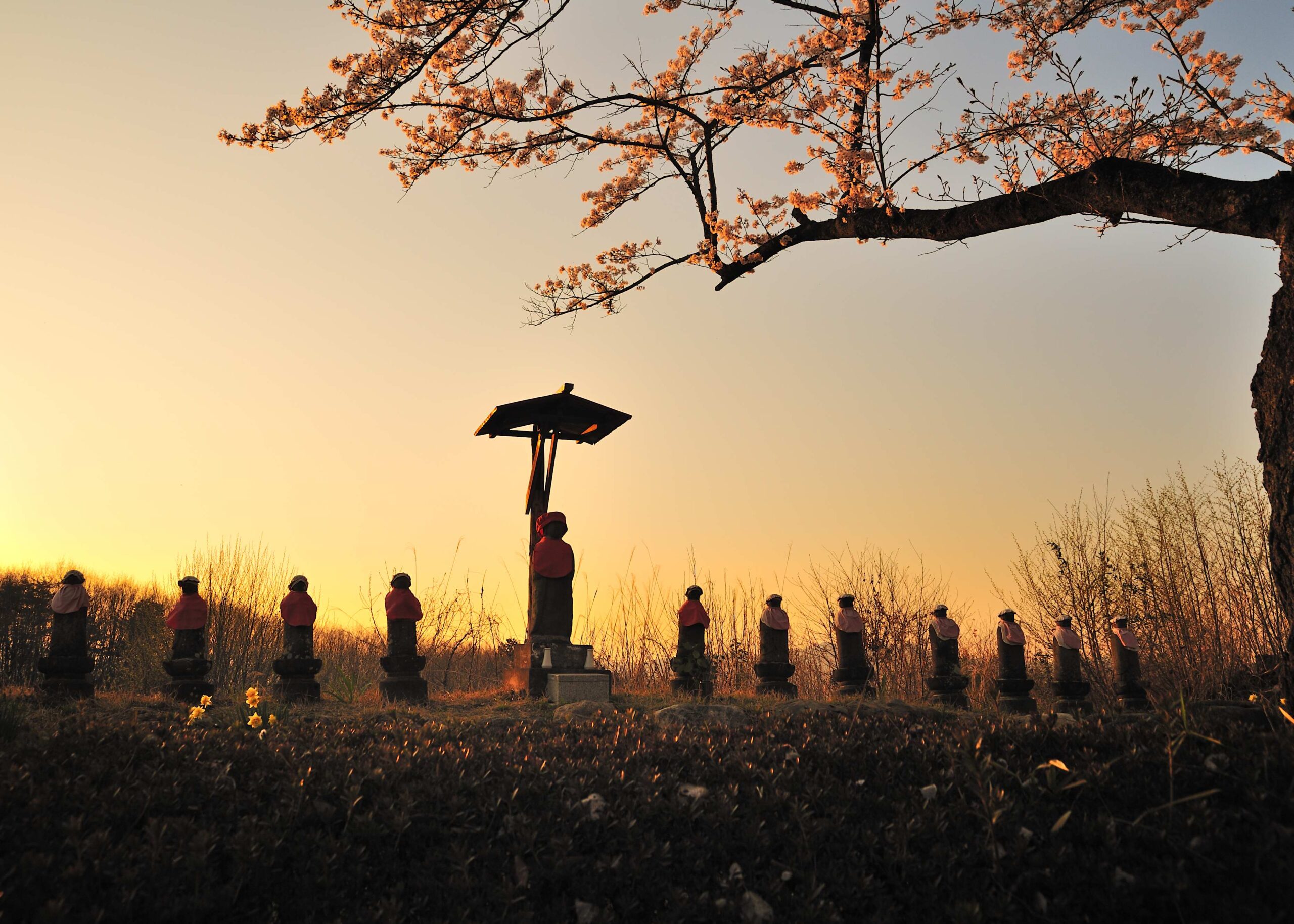 秩父札所の巡礼道と夕日